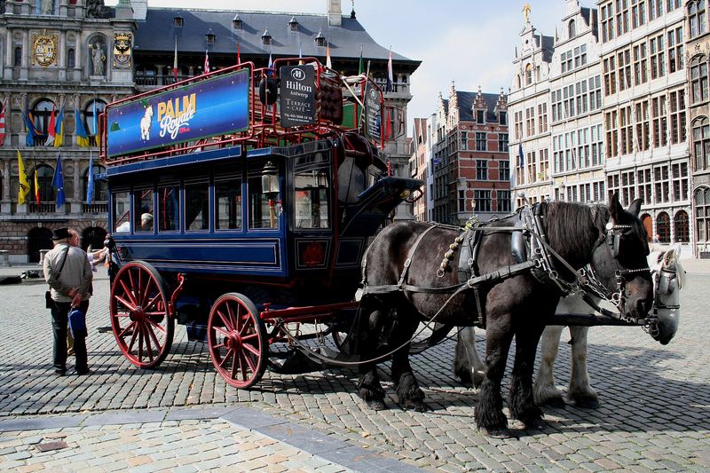 The ornate Renaissance guildhalls and gilded town hall around Antwerp's Grote Markt, with the Brabo Fountain in front