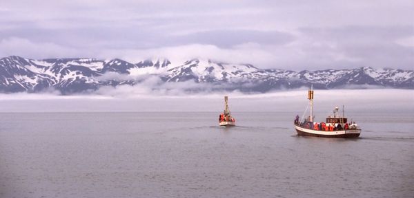 Best Time to Visit Húsavík: Whales, Weather and the Diamond Circle
