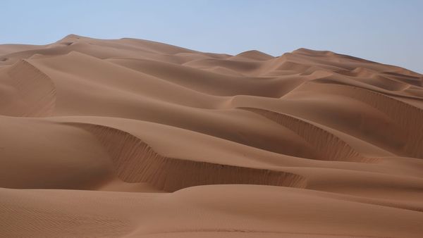 Dubai Desert Safari Tours: Complete Guide