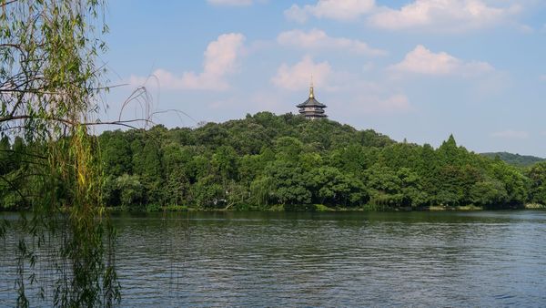 Planning the Perfect Trip to Hangzhou: West Lake, Tea, and Timing