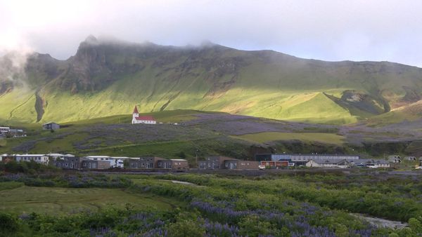Planning the Perfect Trip to Vík: Black Sand, Glaciers, and Puffins