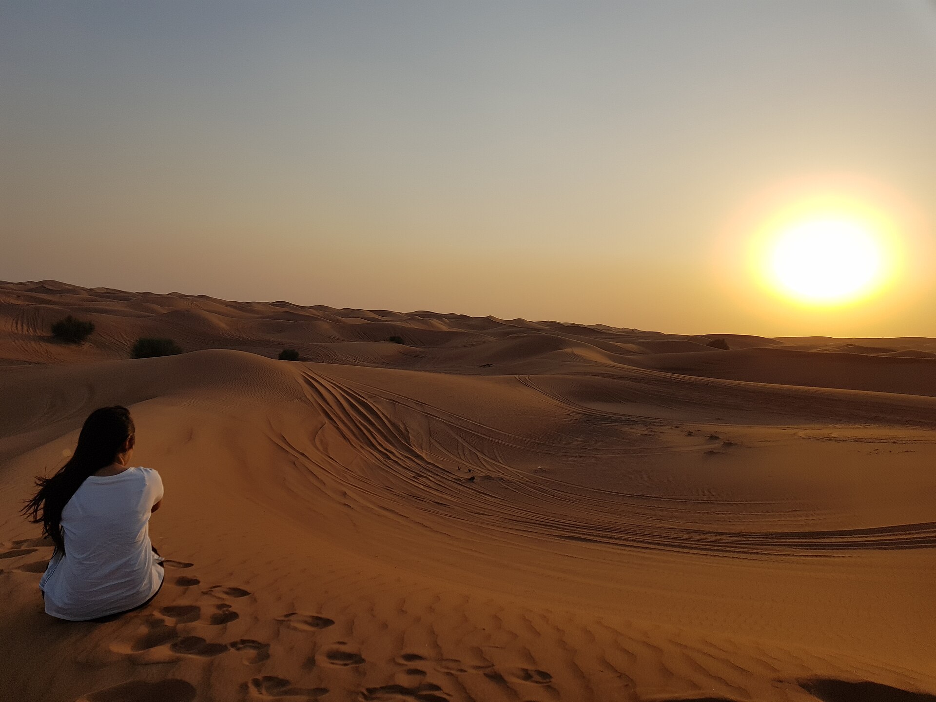 Desert Safari in Dubai
