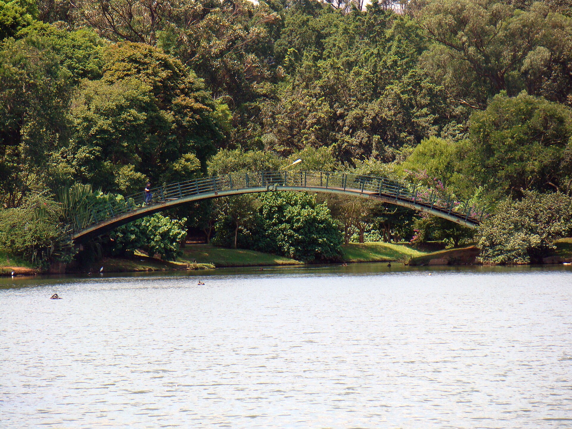 Aerial view of Ibirapuera Park in São Paulo