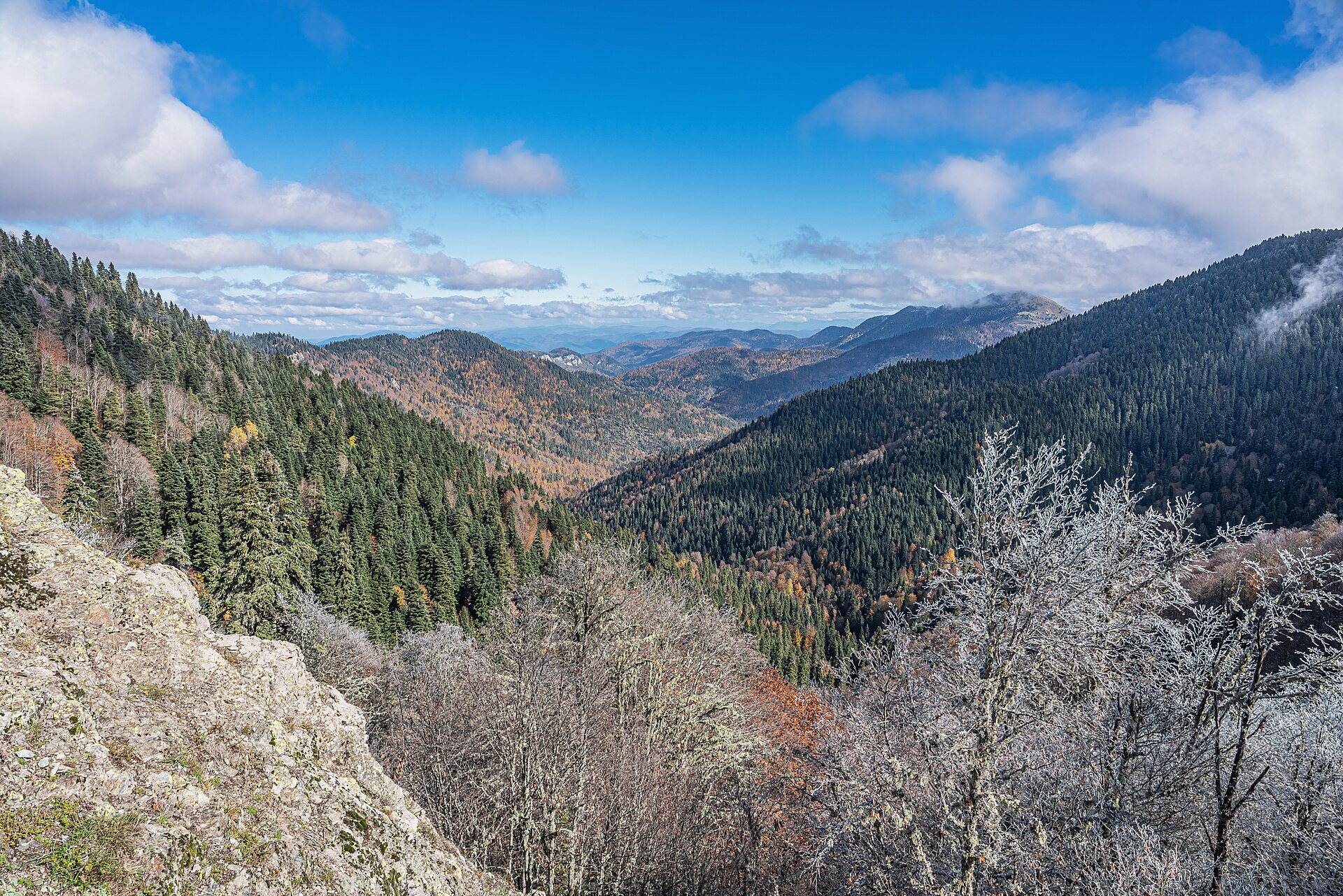 Yedigoller National Park landscape in Turkey
